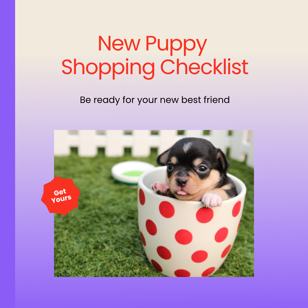 New puppy shopping list